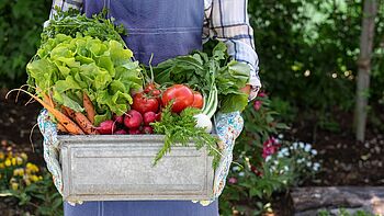 Food-Fonds Ernährungsbranche und Lebensmittelindustrie