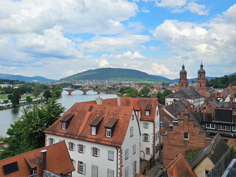 Miltenberg - Blick von oben